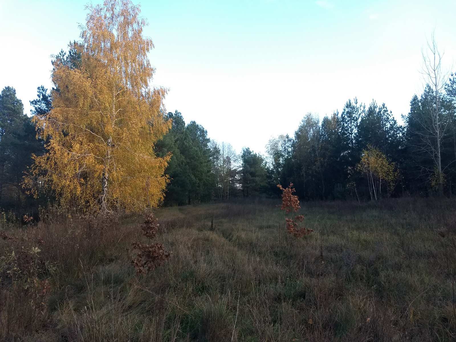 Продажа дачного участка 12 соток