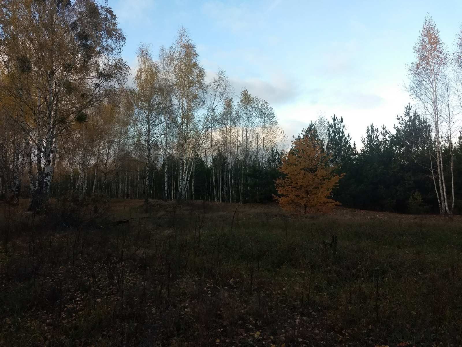 Продаж дачної ділянки 12 соток