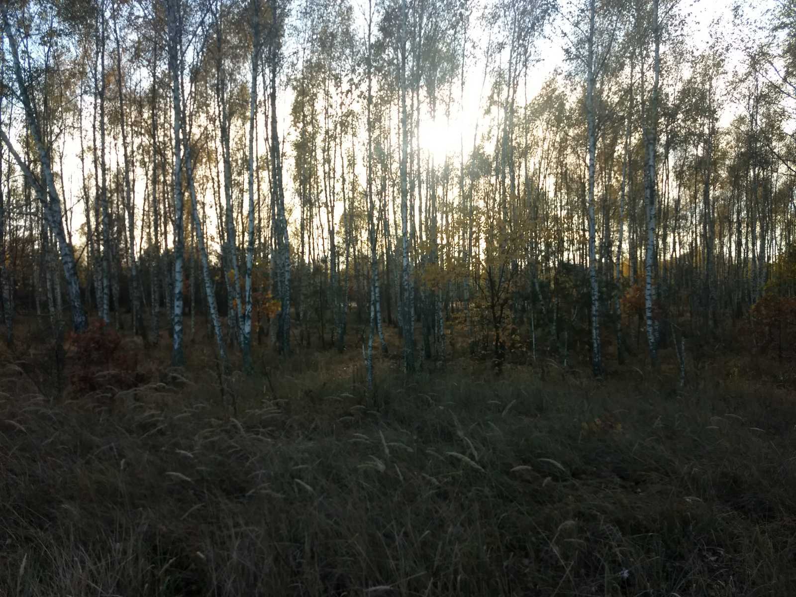 Продаж дачної ділянки 12 соток