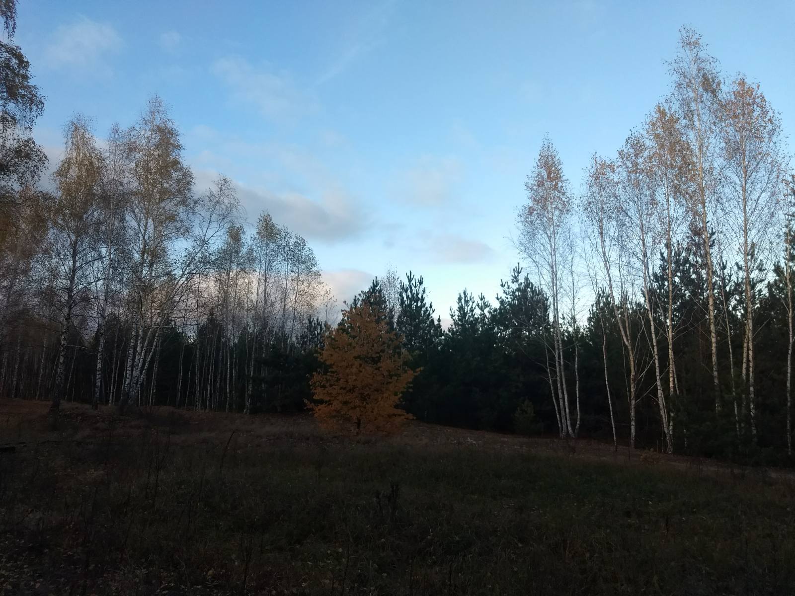 Продажа дачного участка 12 соток