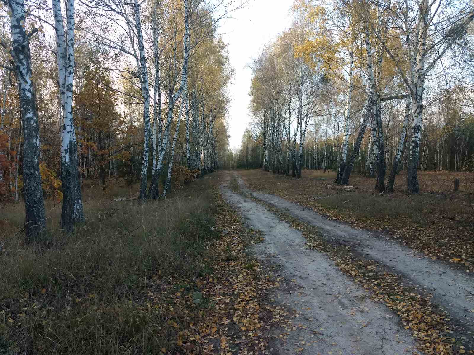 Продаж дачної ділянки 12 соток