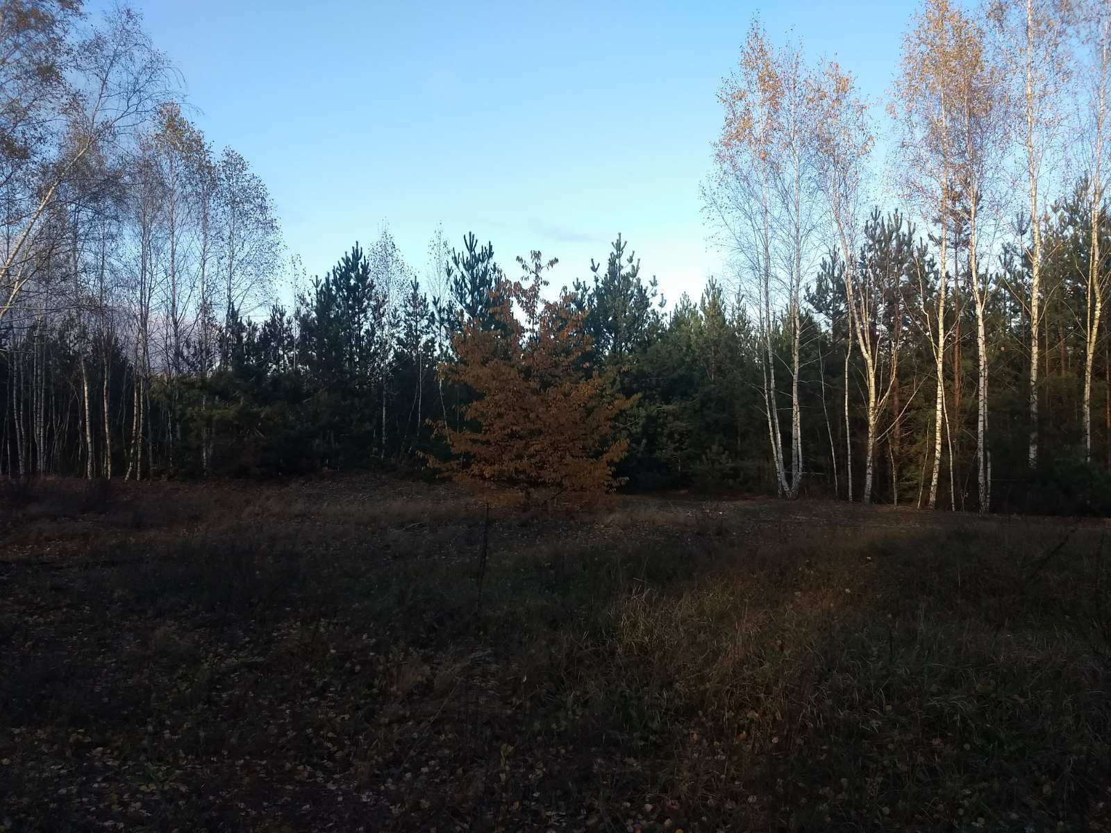 Продаж дачної ділянки 12 соток