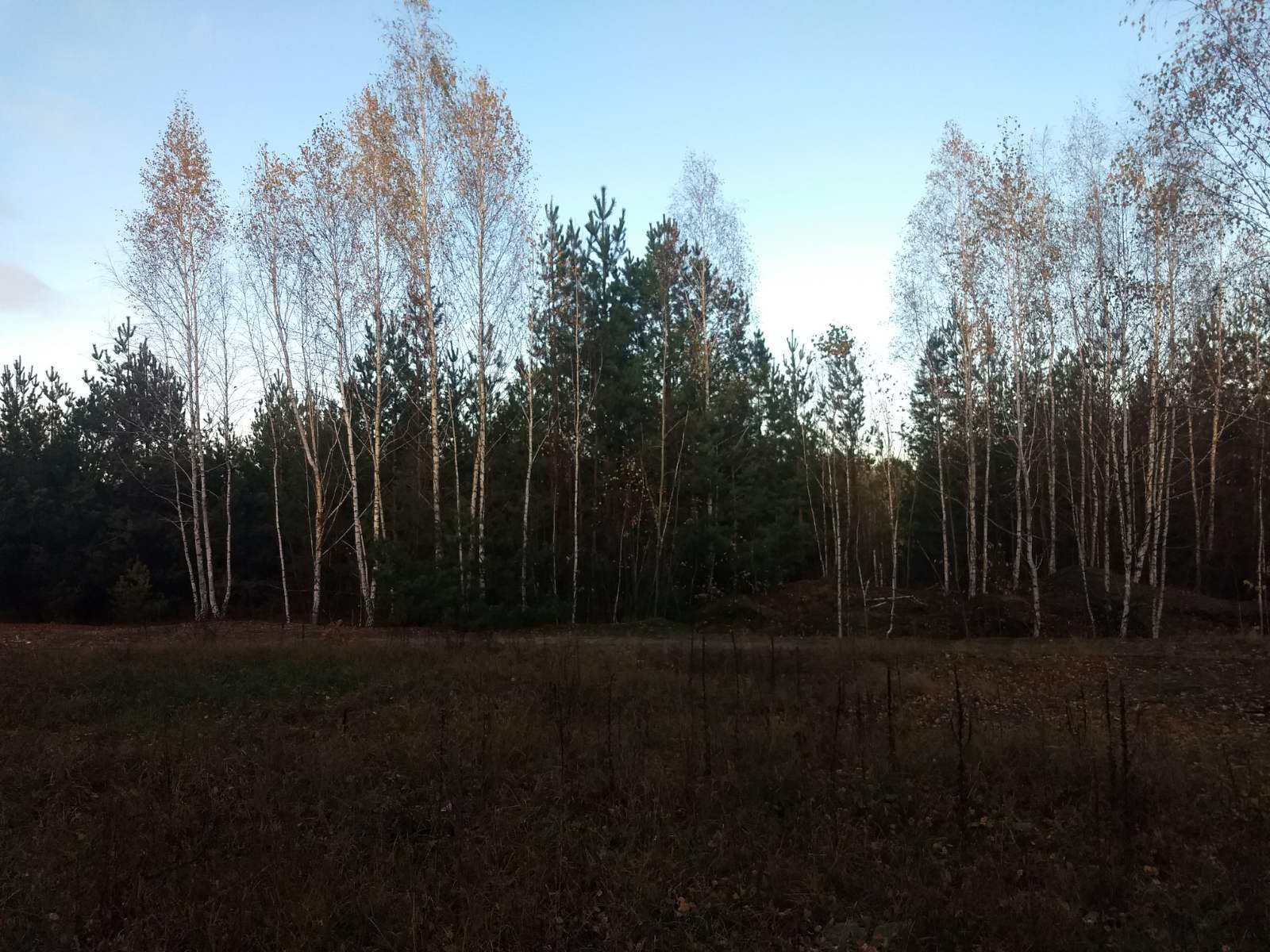 Продажа дачного участка 12 соток