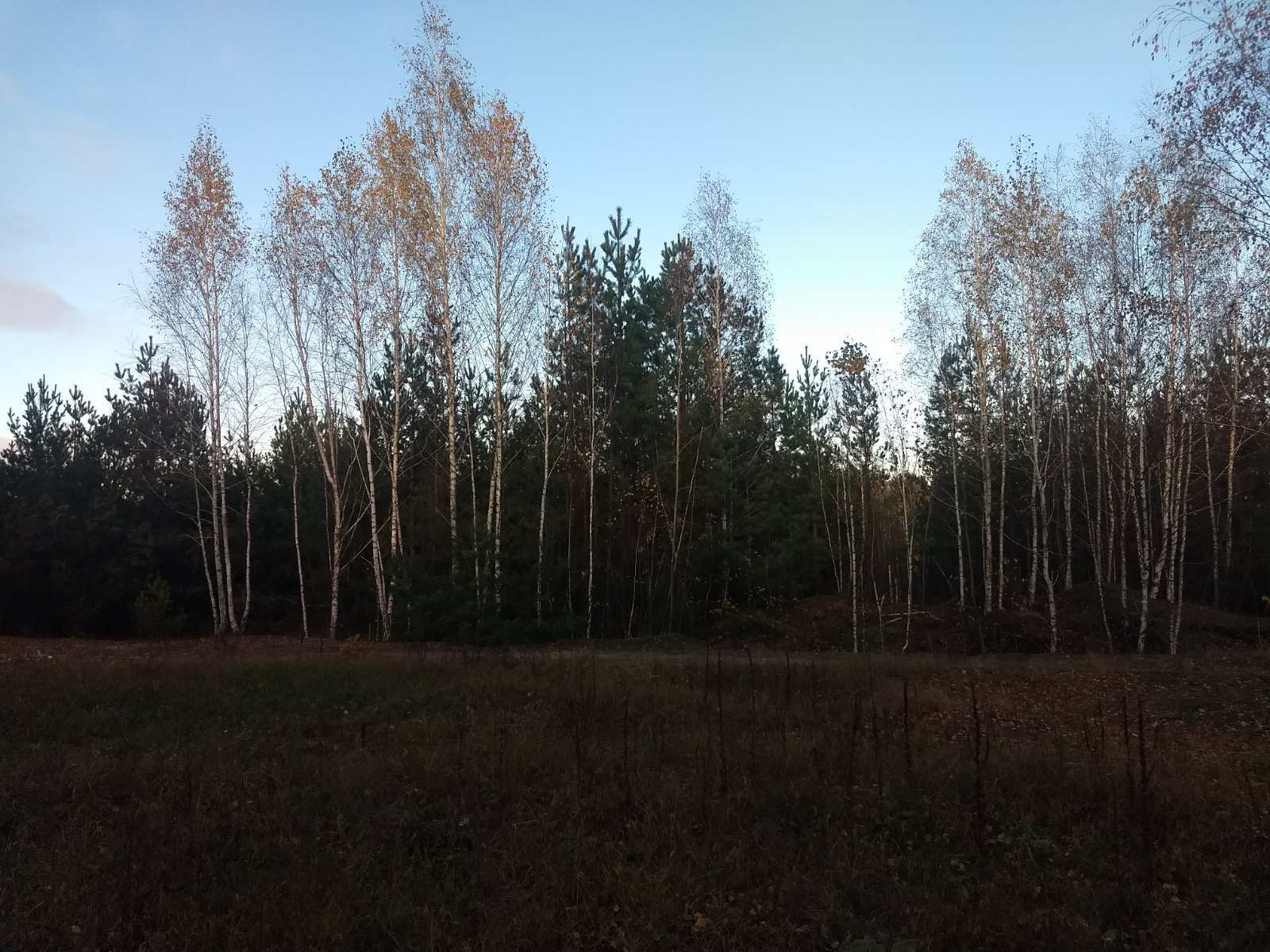 Продаж дачної ділянки 12 соток