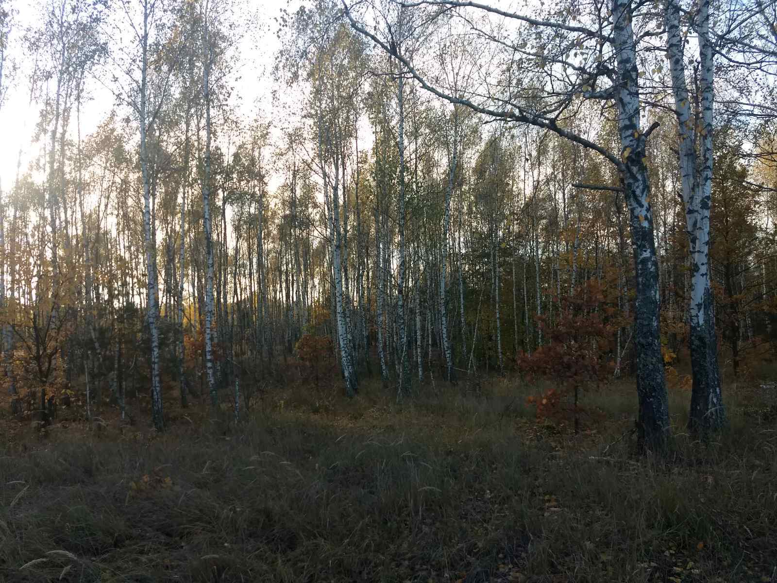 Продаж дачної ділянки 12 соток