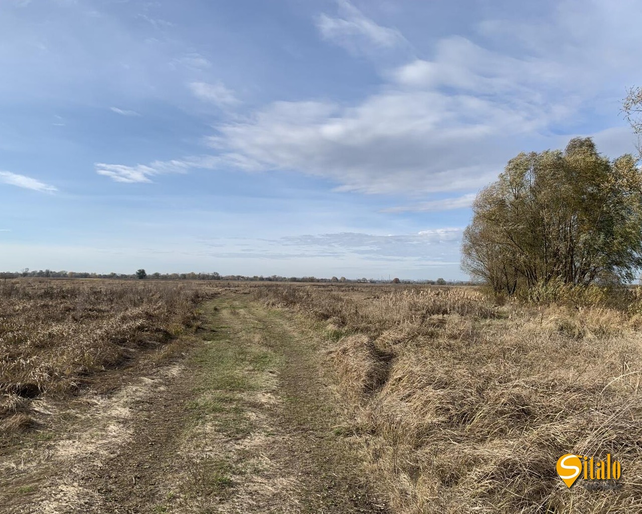 Продаж ділянки під фермерське господарство 3980 соток