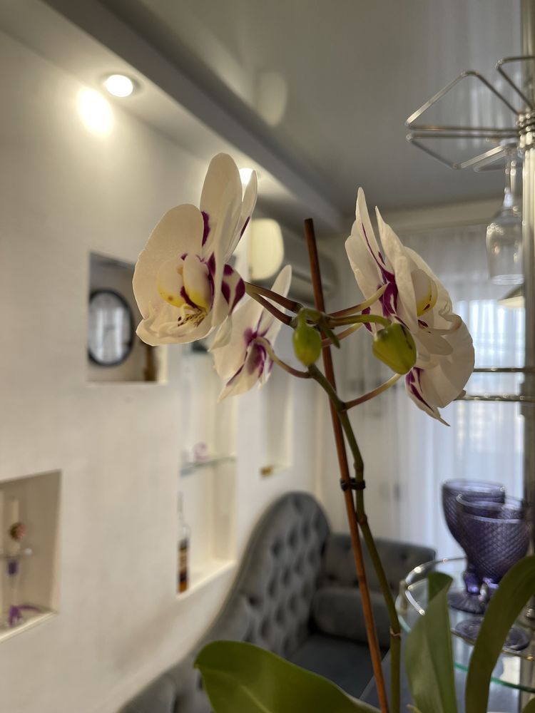 Продажа 2-комнатной квартиры 55 м², Героев Днепра ул.