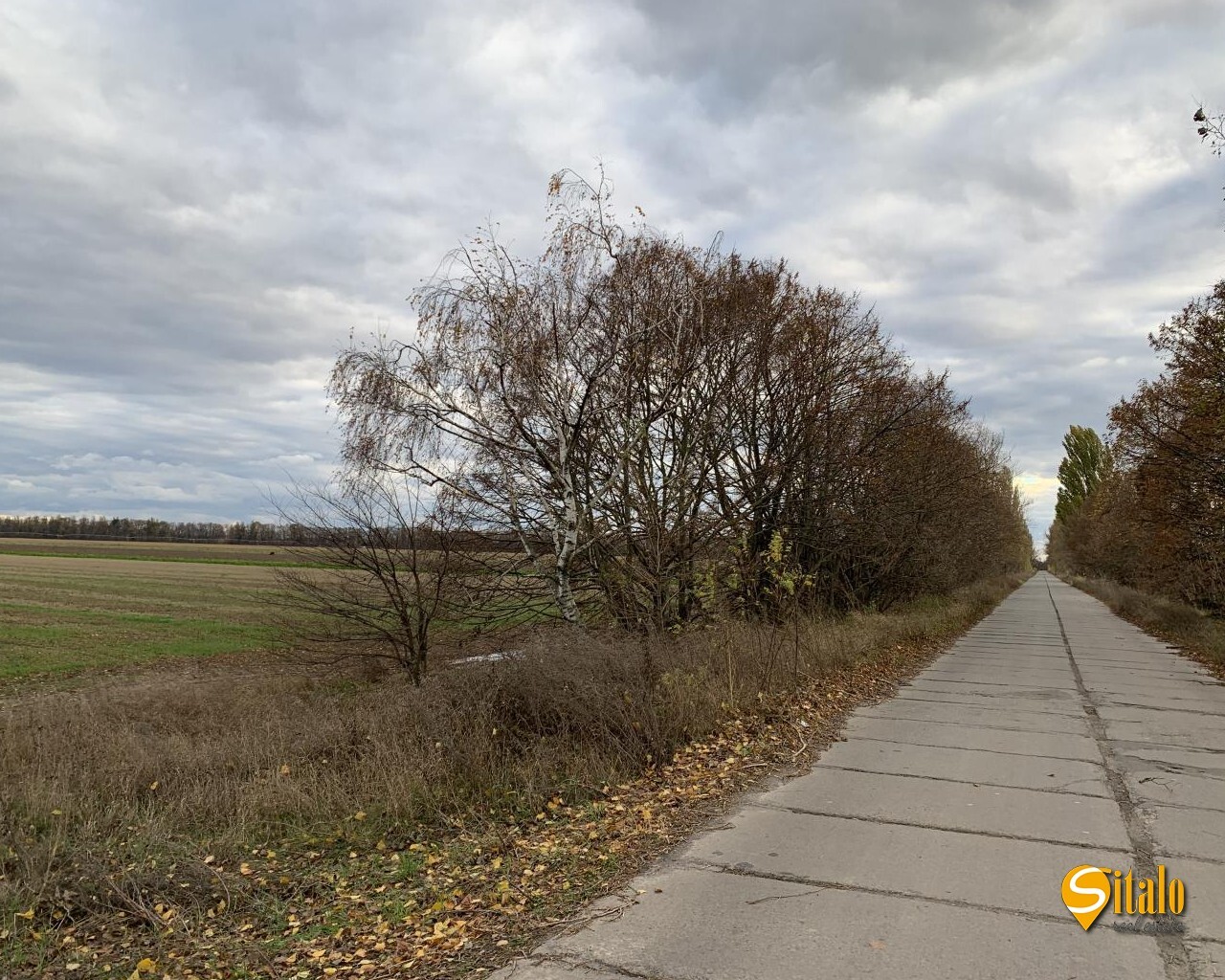 Продаж ділянки під фермерське господарство 217 соток