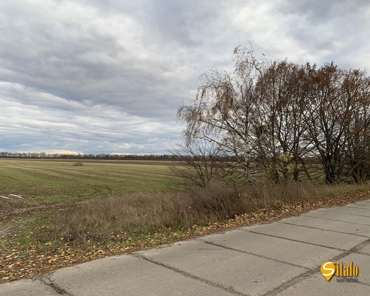 Продаж ділянки під фермерське господарство 217 соток