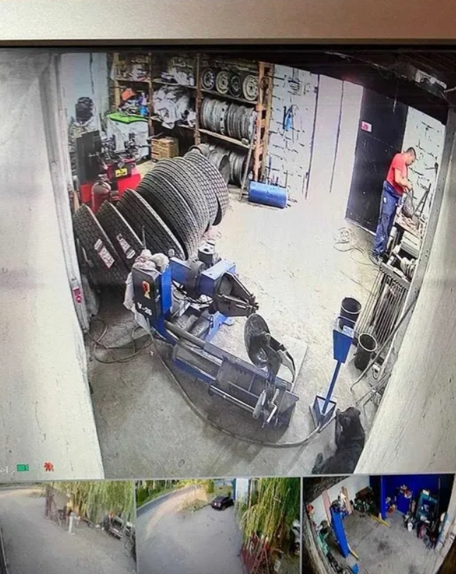 Оренда приміщення вільного призначення 300 м², Балтская дор.