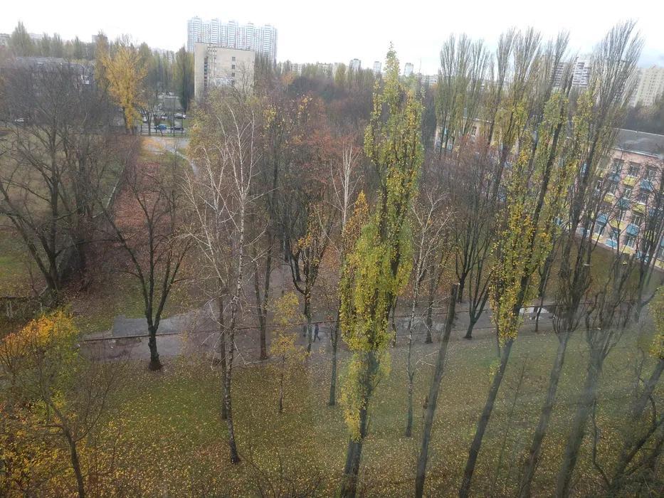 Аренда 1-комнатной квартиры 31 м², Семьи Сосниных ул., 2А