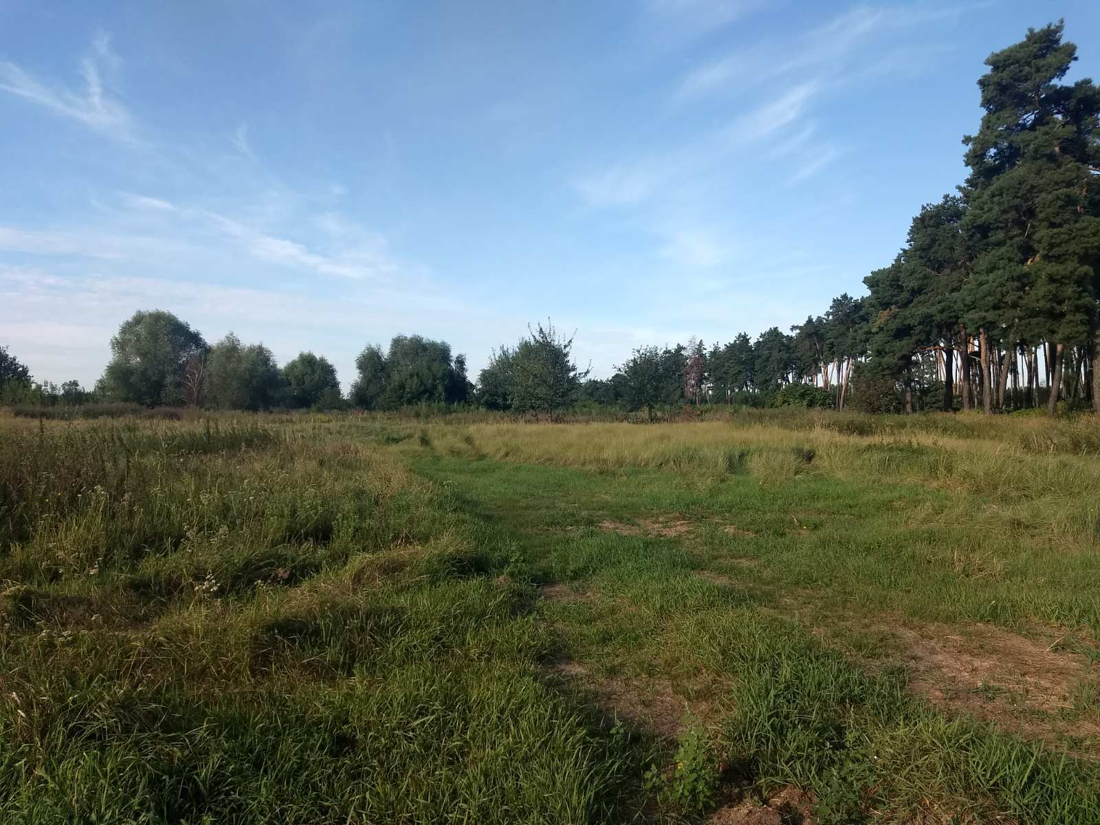 Продаж ділянки під індивідуальне житлове будівництво 50 соток