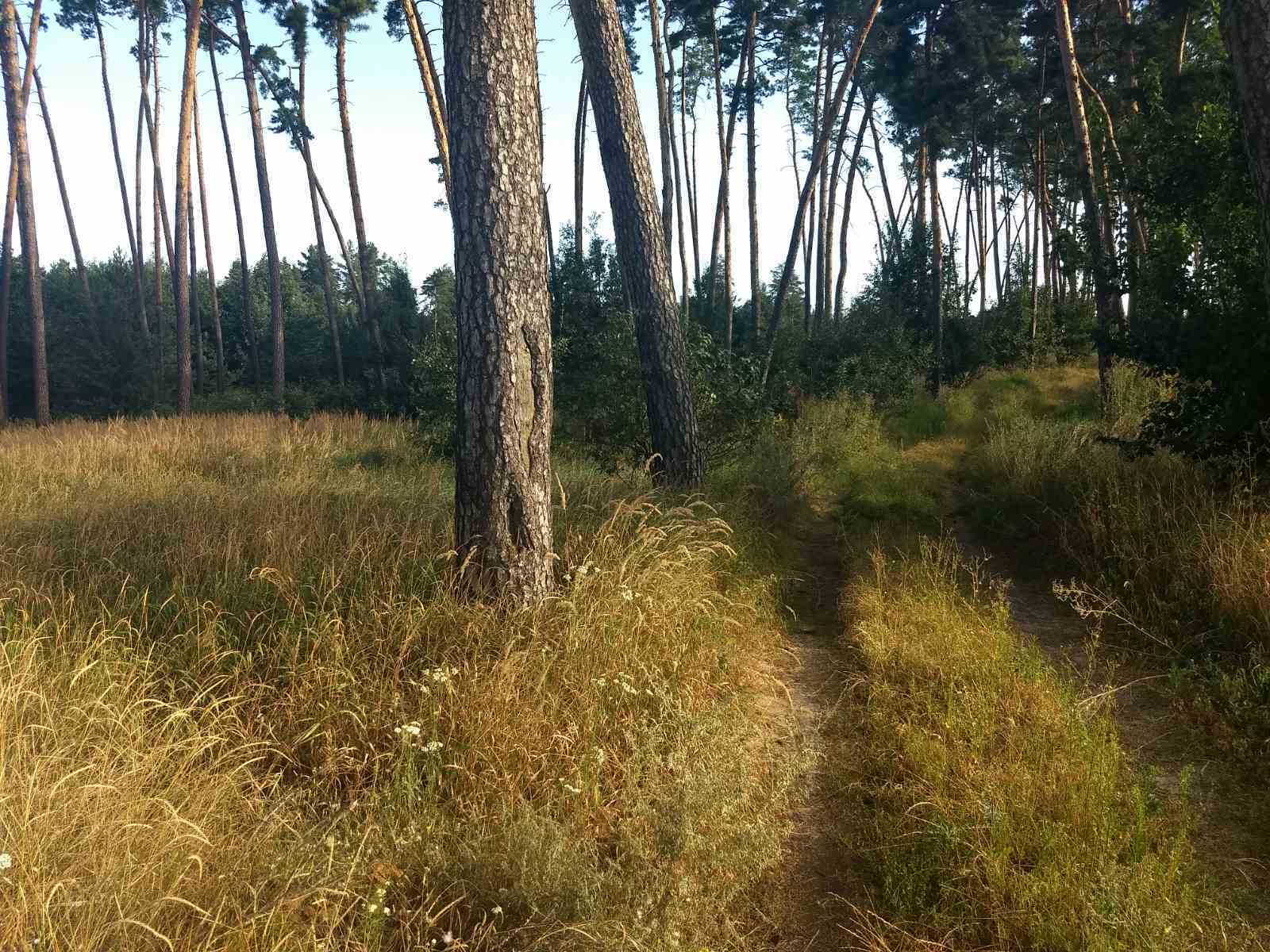 Продаж ділянки під індивідуальне житлове будівництво 50 соток