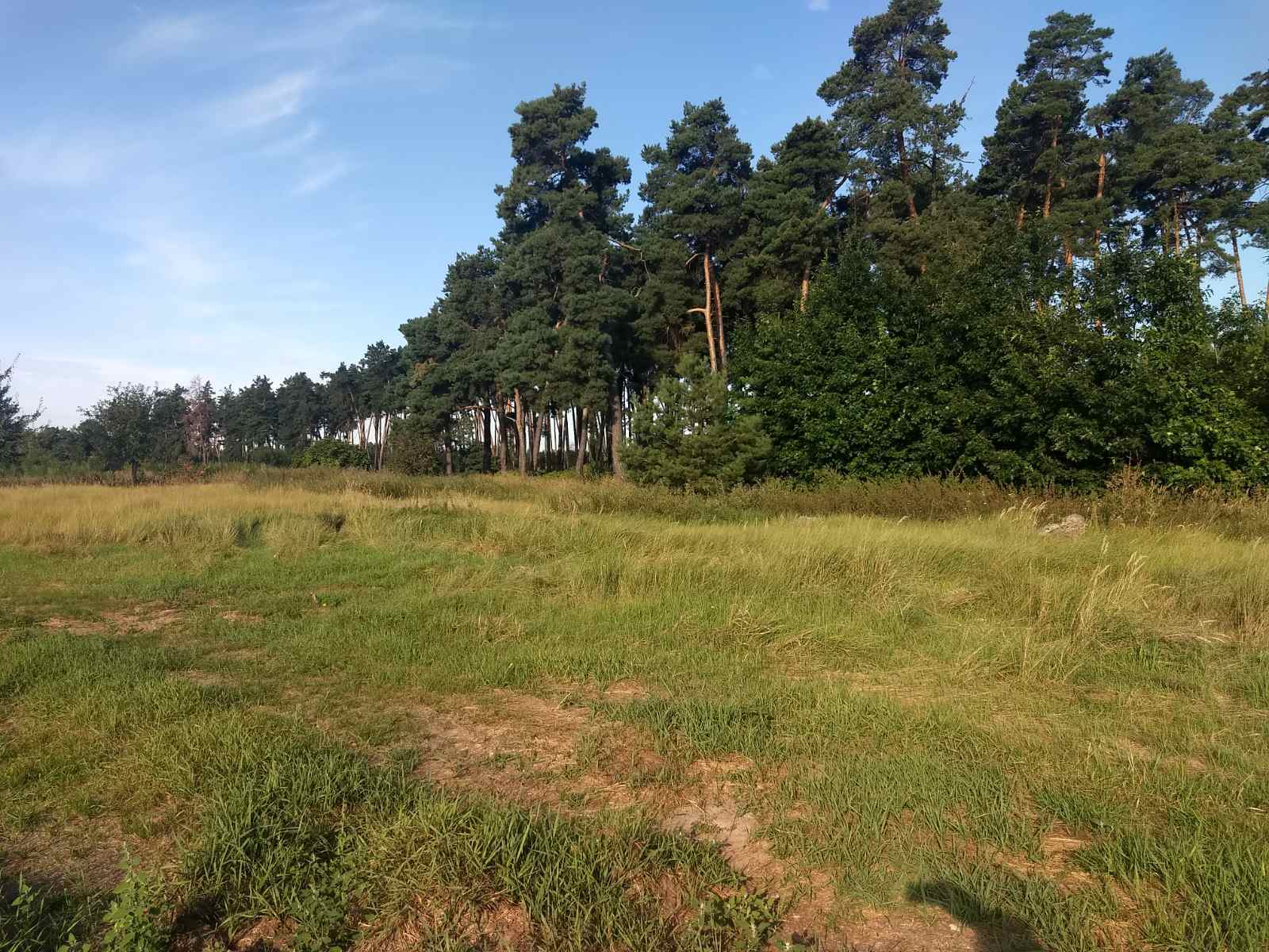 Продаж ділянки під індивідуальне житлове будівництво 50 соток