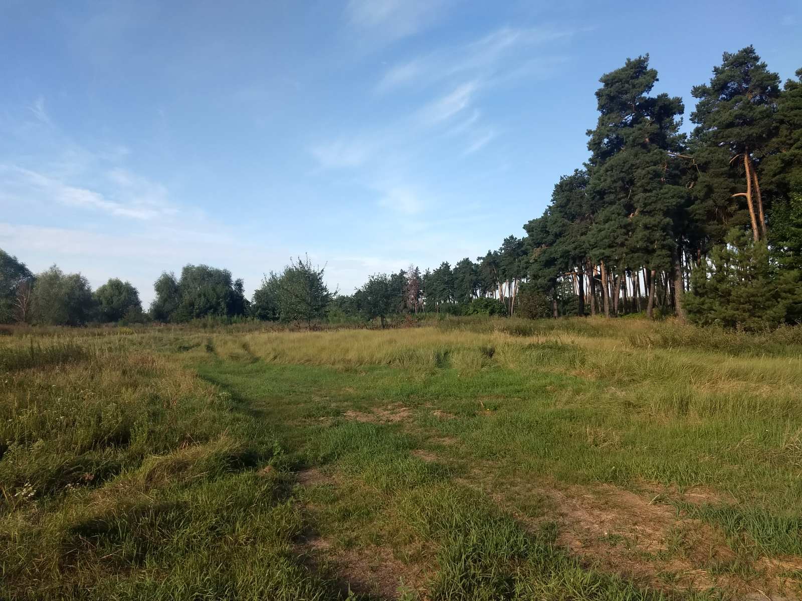 Продаж ділянки під індивідуальне житлове будівництво 50 соток