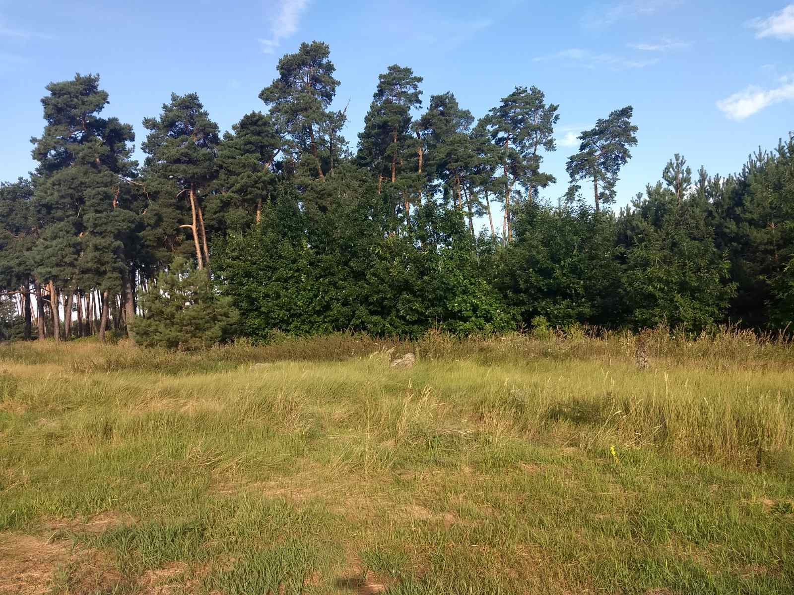 Продаж ділянки під індивідуальне житлове будівництво 50 соток