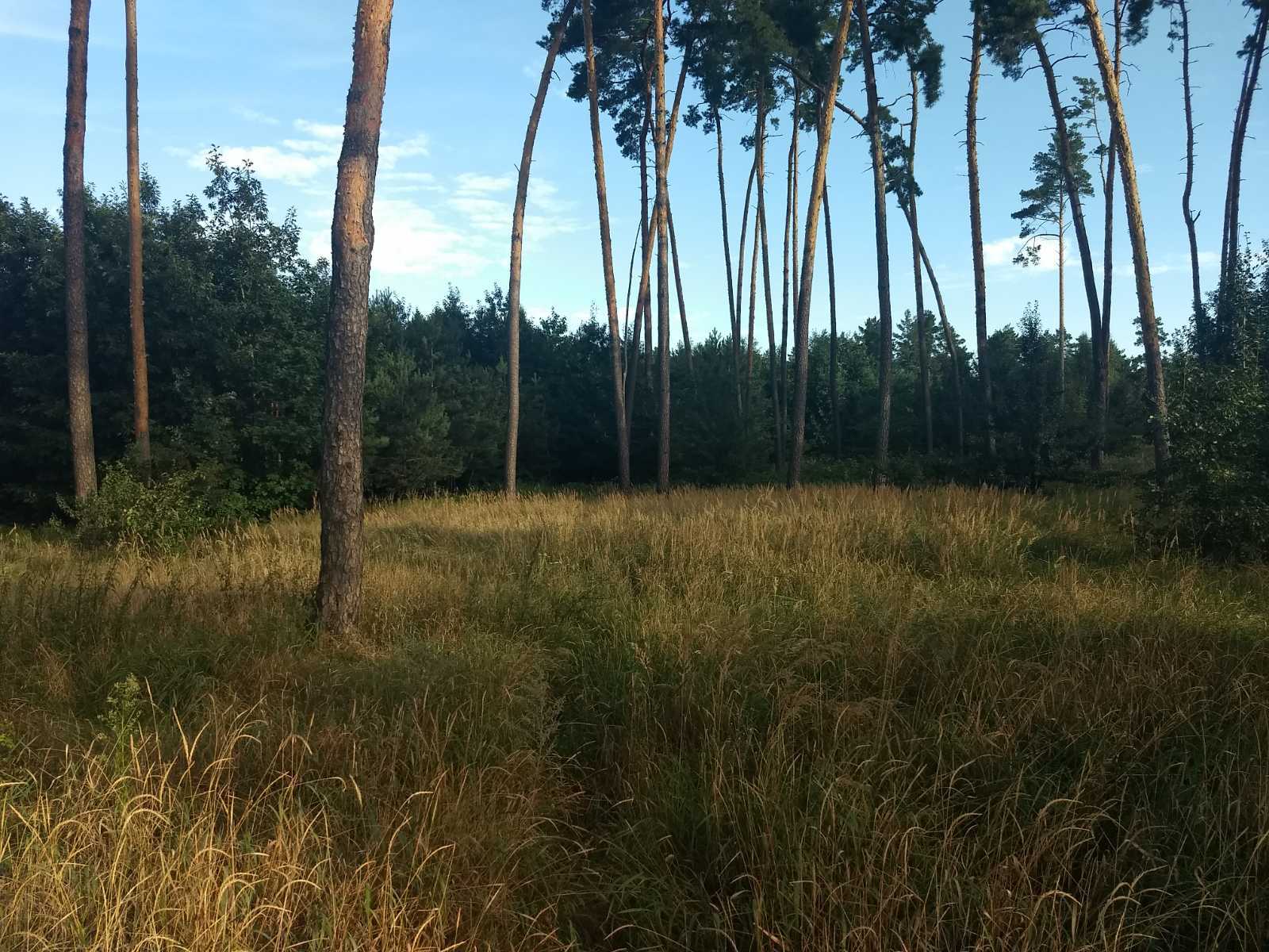 Продаж ділянки під індивідуальне житлове будівництво 50 соток