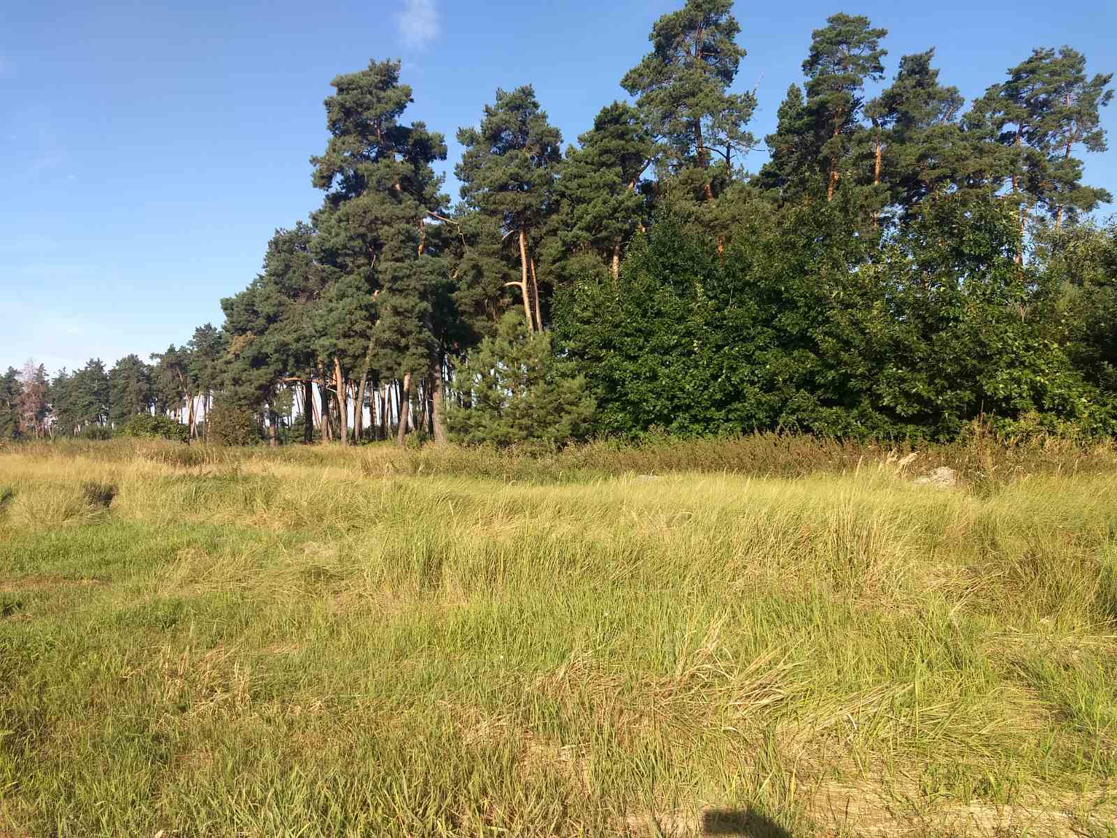 Продажа участка под индивидуальное жилое строительство 50 соток