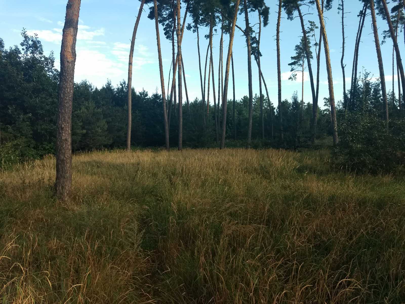 Продаж ділянки під індивідуальне житлове будівництво 50 соток