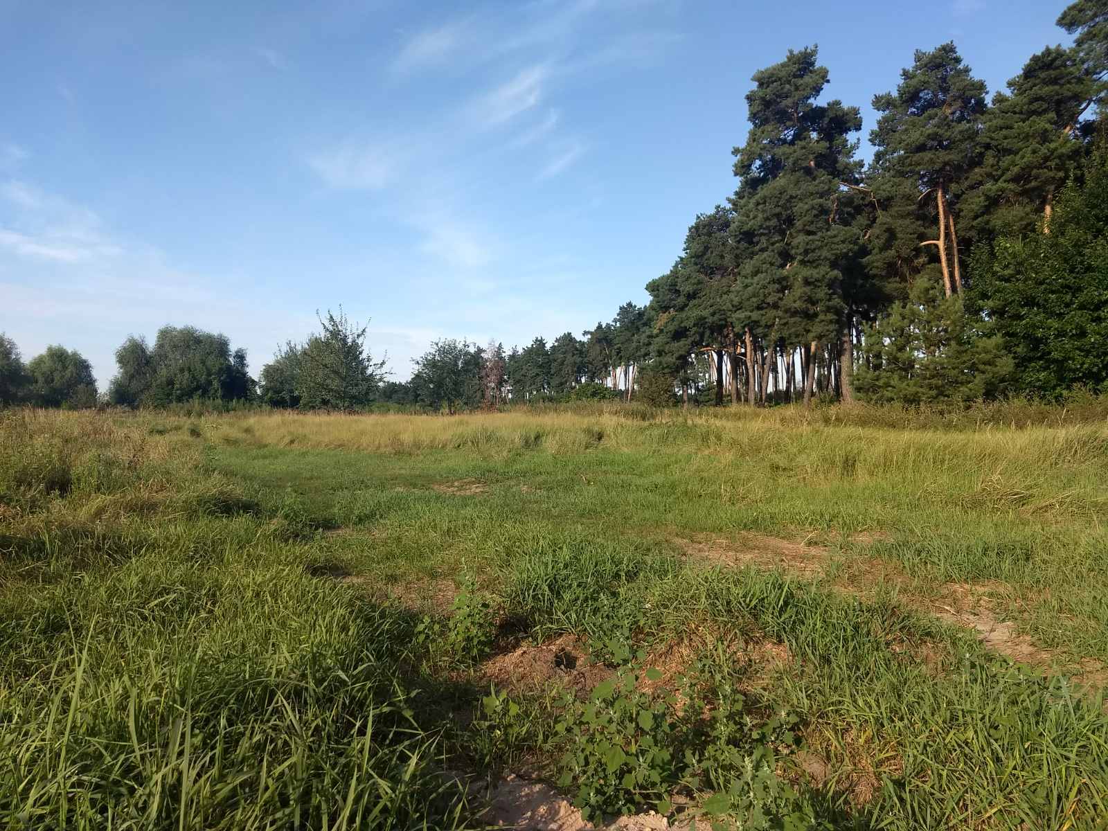 Продаж ділянки під індивідуальне житлове будівництво 50 соток