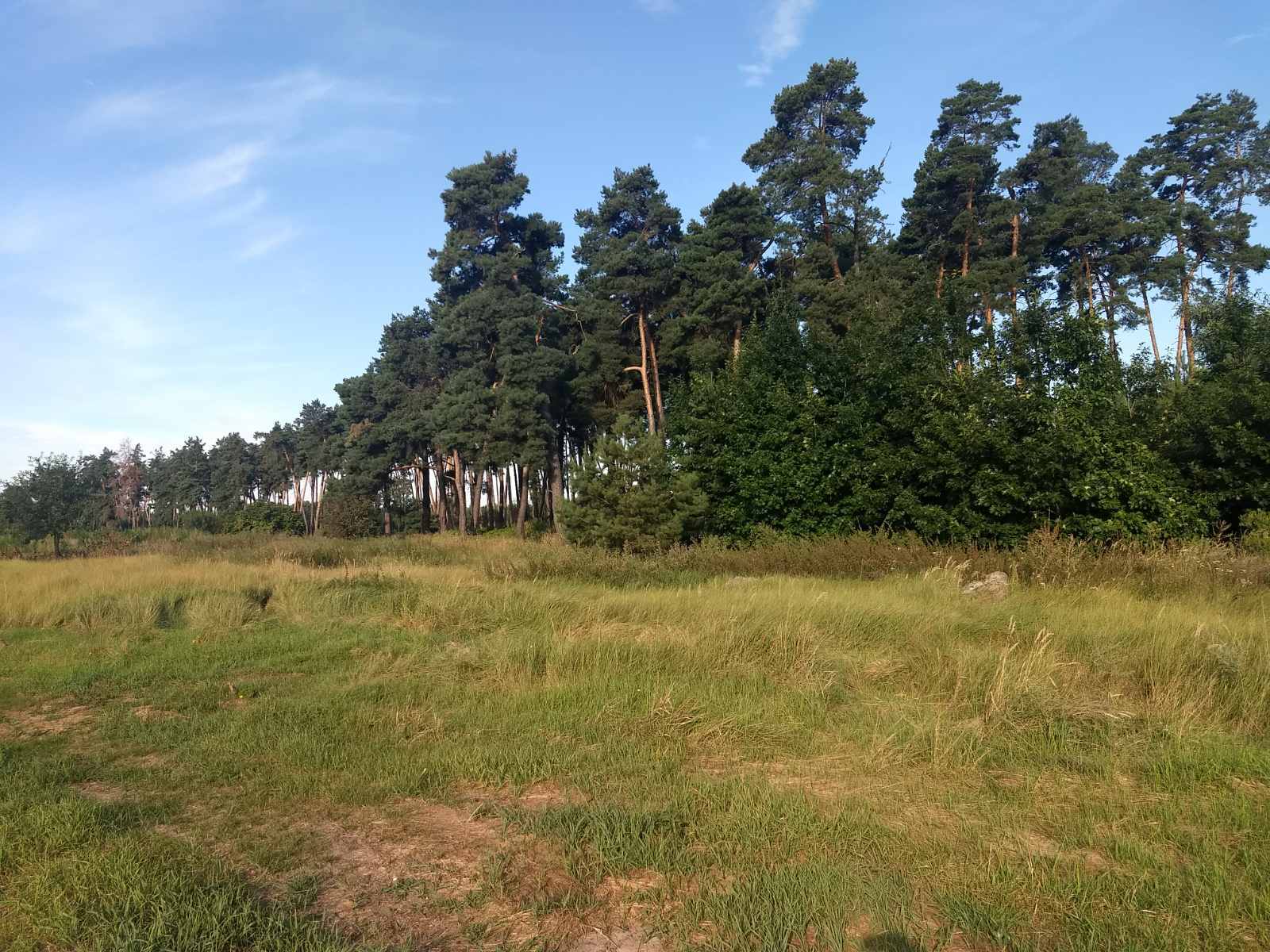 Продаж ділянки під індивідуальне житлове будівництво 50 соток