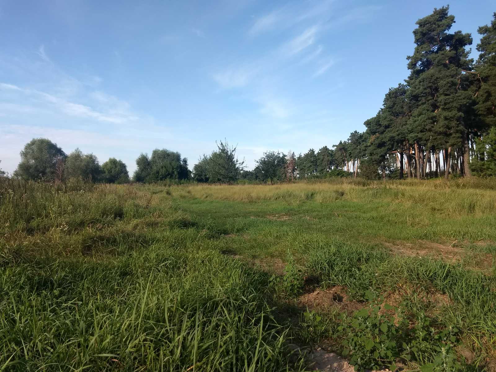 Продаж ділянки під індивідуальне житлове будівництво 50 соток