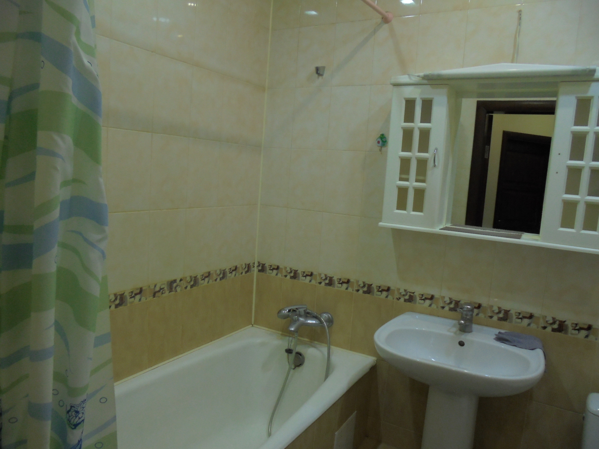 Продажа 1-комнатной квартиры 45 м², Бориспольская ул., 6