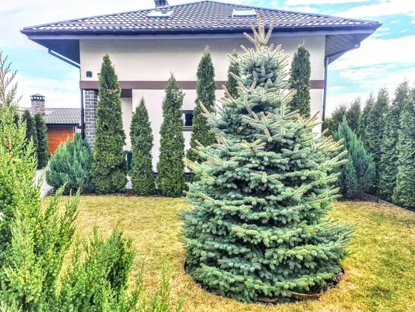 Дом посуточно 150 м², Лесная ул., 82