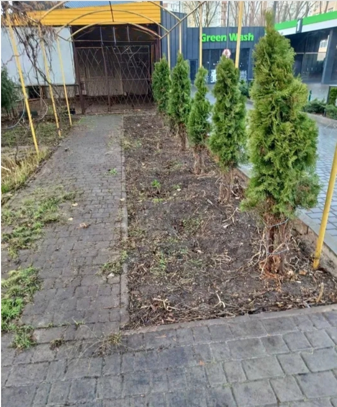 Оренда приміщення вільного призначення 71 м², Левитана вул.