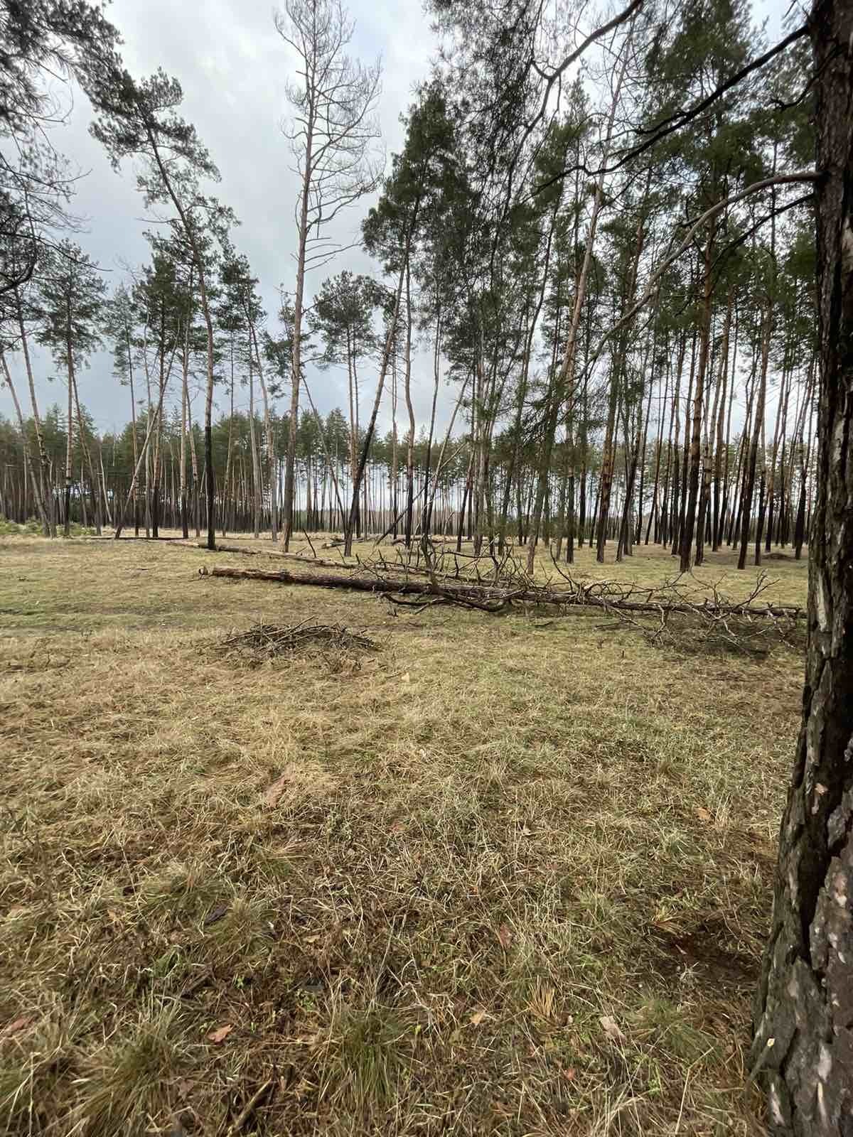 Продаж ділянки під рослинництво 33.13 соток, Чайковського вул.