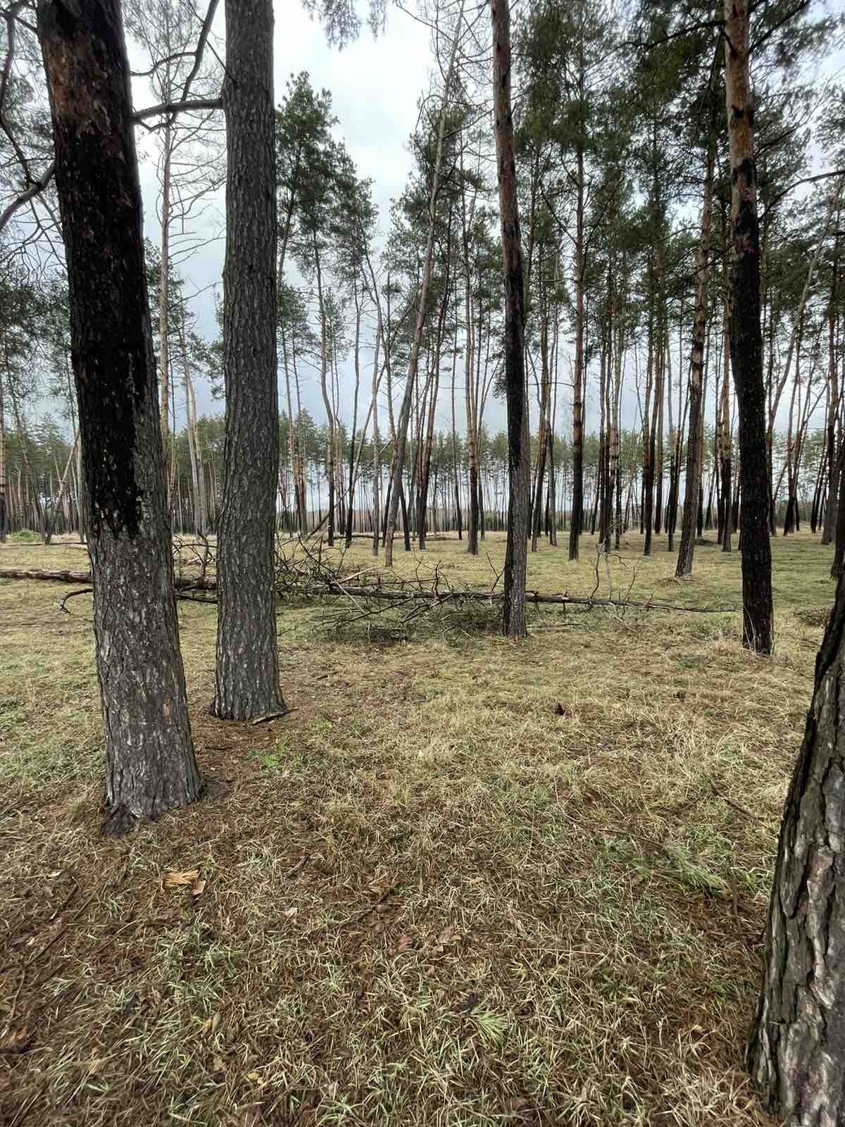 Продаж ділянки під рослинництво 33.13 соток, Чайковського вул.