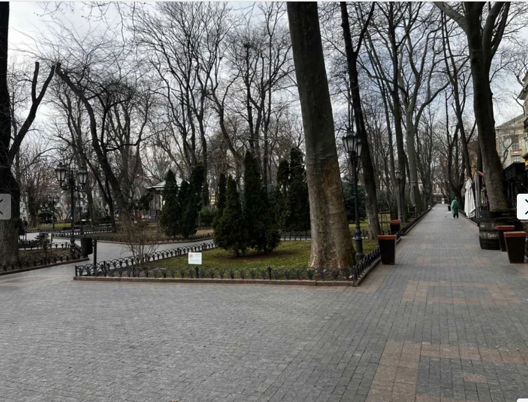 Аренда торгового помещения 143 м², Гаванная ул.