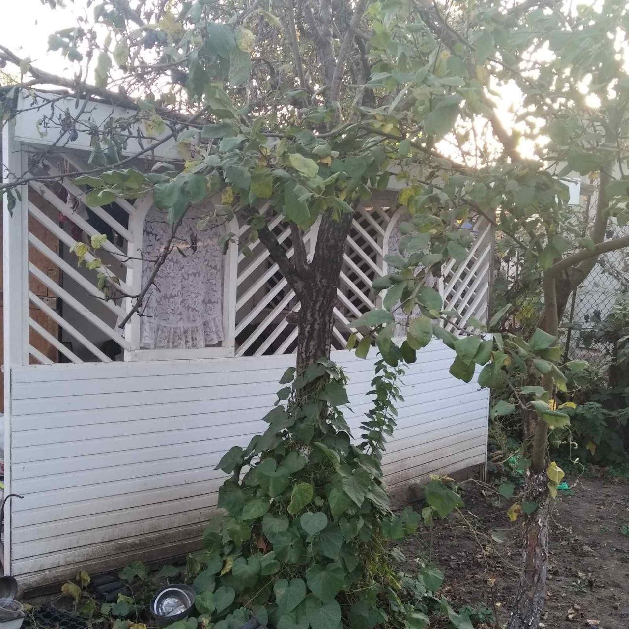 Продажа дома 42 м²
