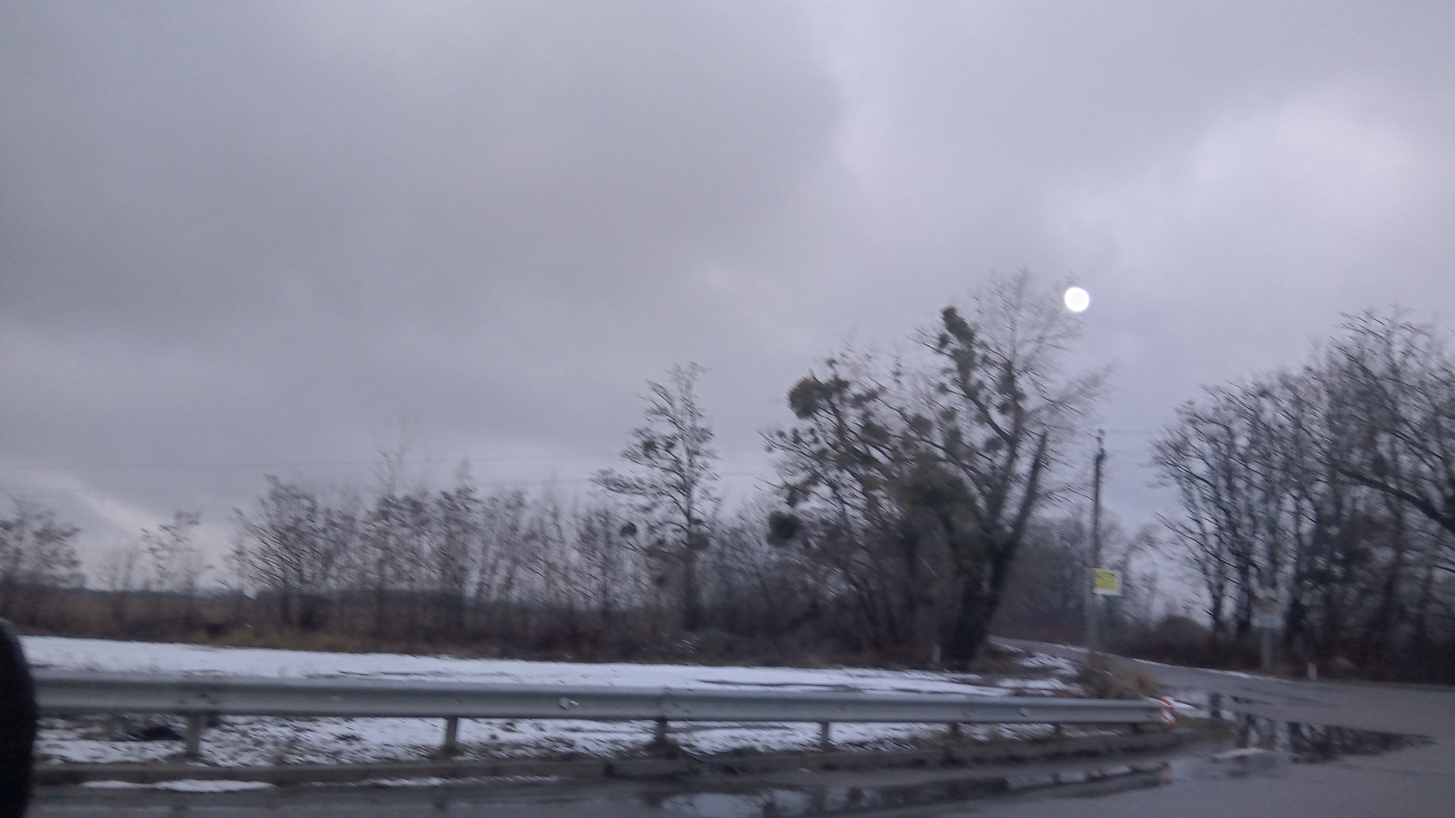 Продаж ділянки під рослинництво 200 соток