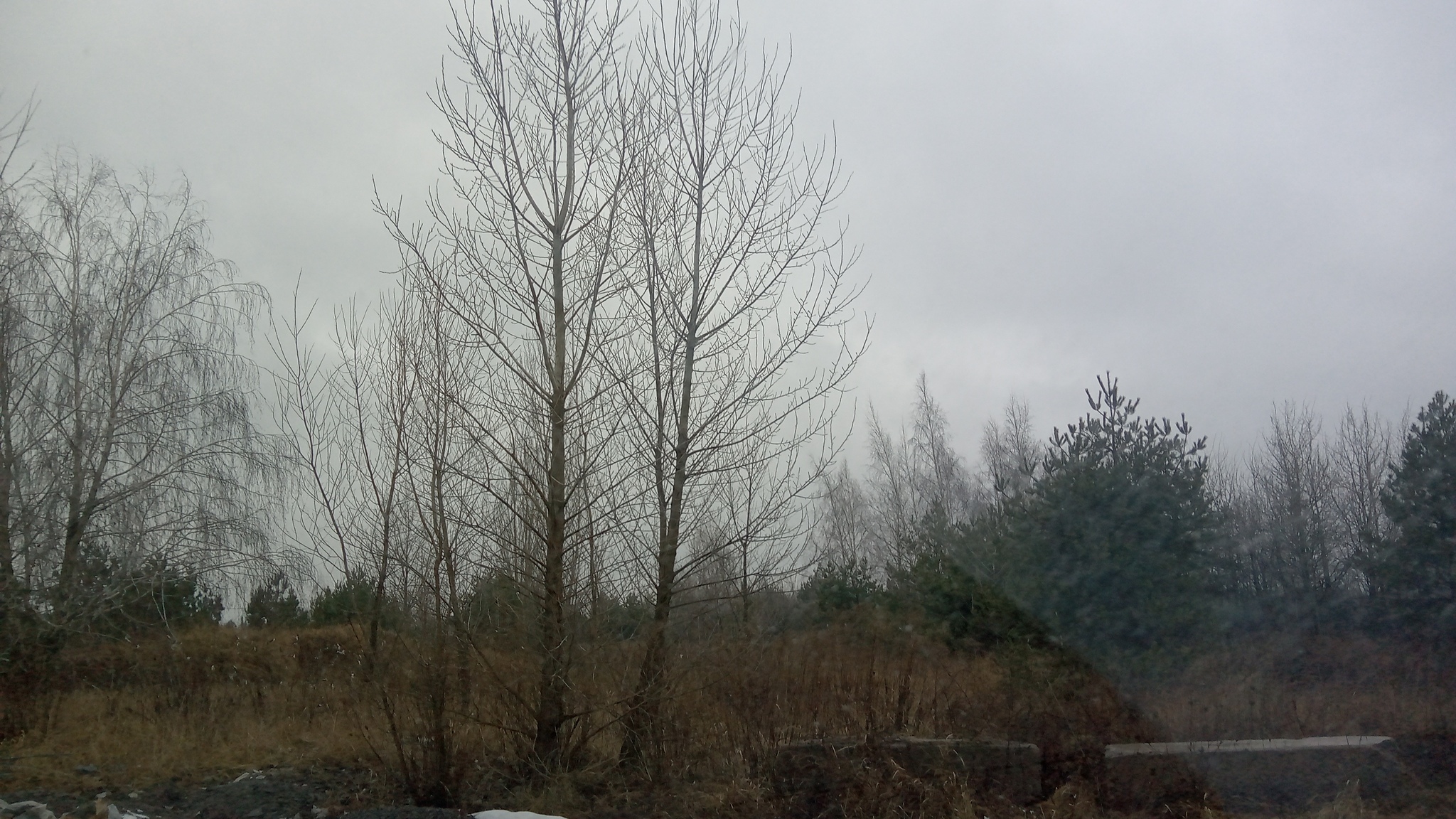 Продаж ділянки під рослинництво 200 соток