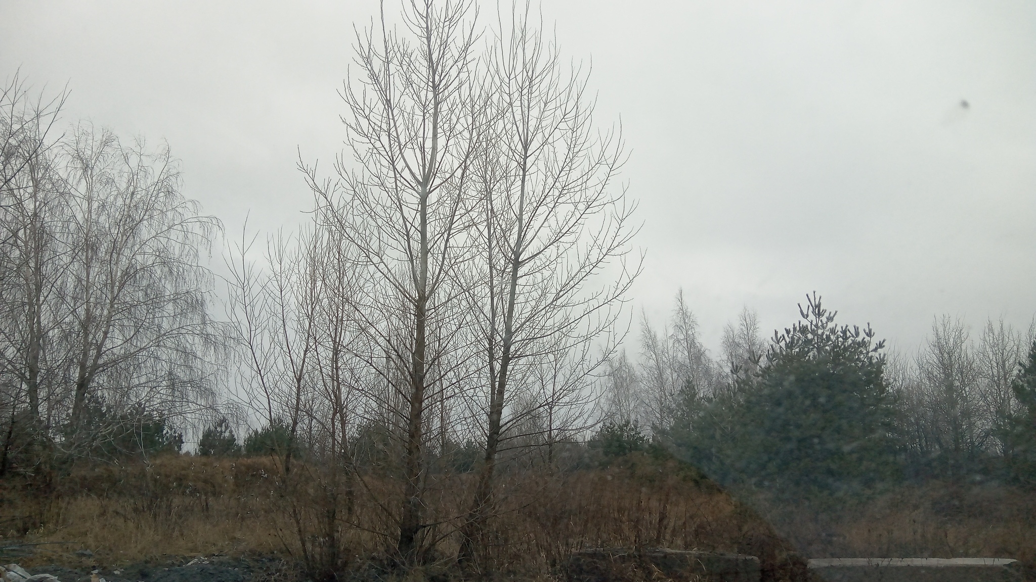 Продаж ділянки під рослинництво 200 соток