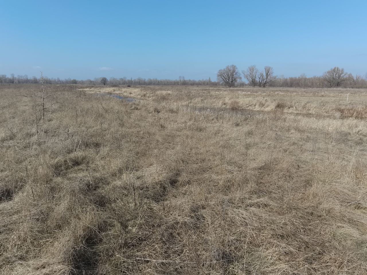 Продаж ділянки під рослинництво 12 соток