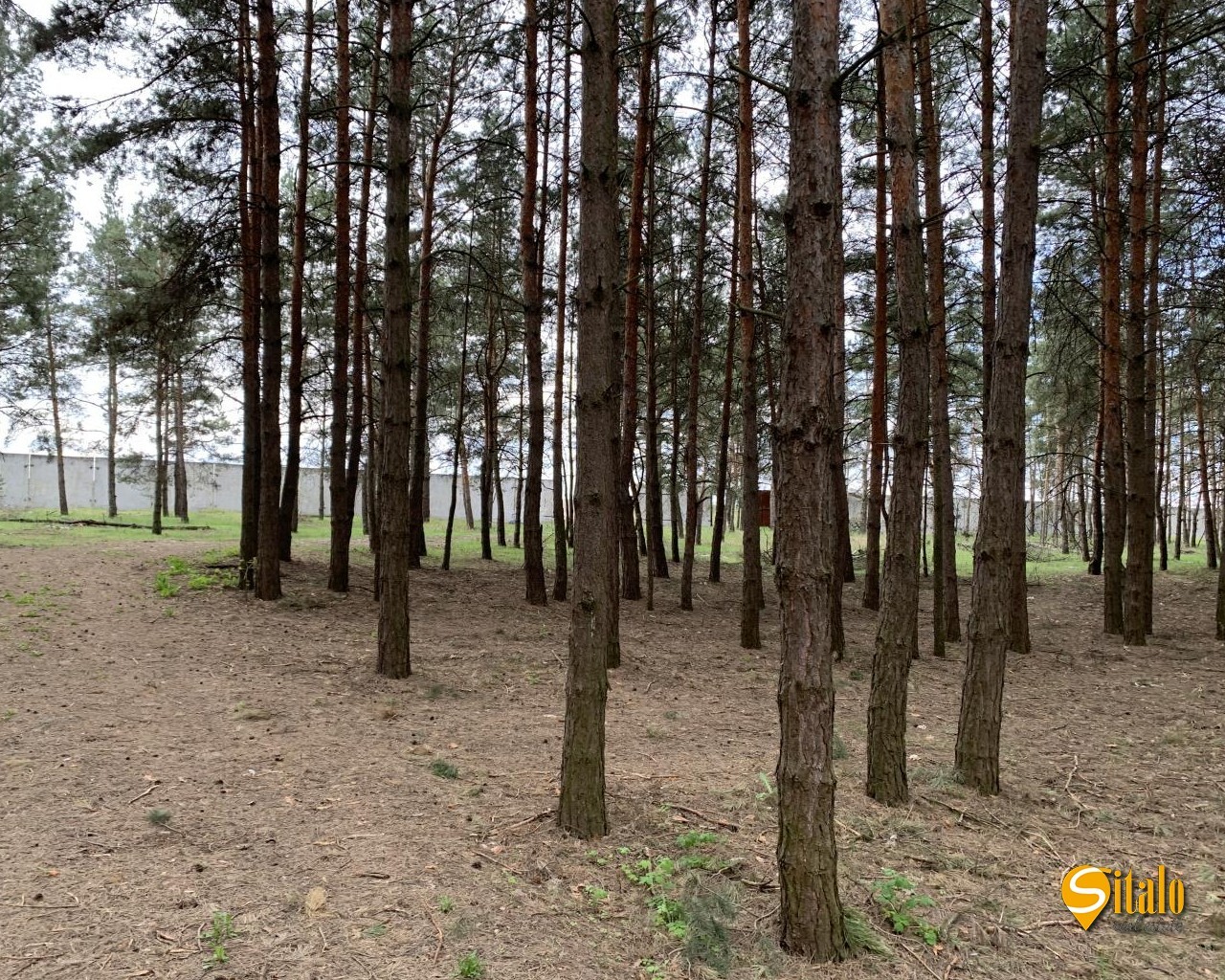 Продажа участка под индивидуальное жилое строительство 60 соток
