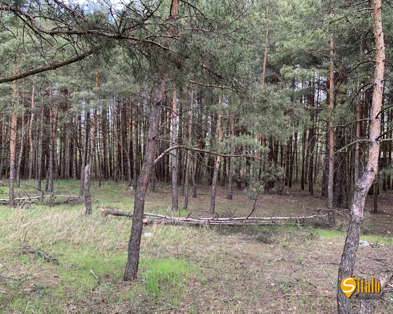 Продажа участка под индивидуальное жилое строительство 60 соток