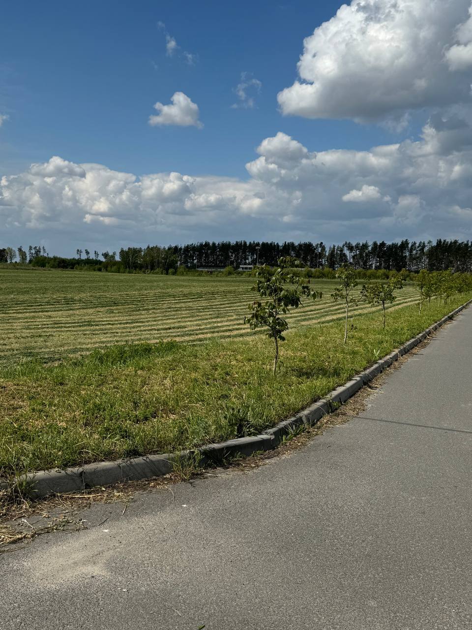 Продаж ділянки під інвестиційний проєкт 500 соток, Дзвонова