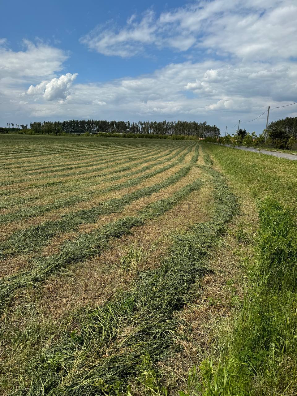 Продаж ділянки під інвестиційний проєкт 500 соток, Дзвонова