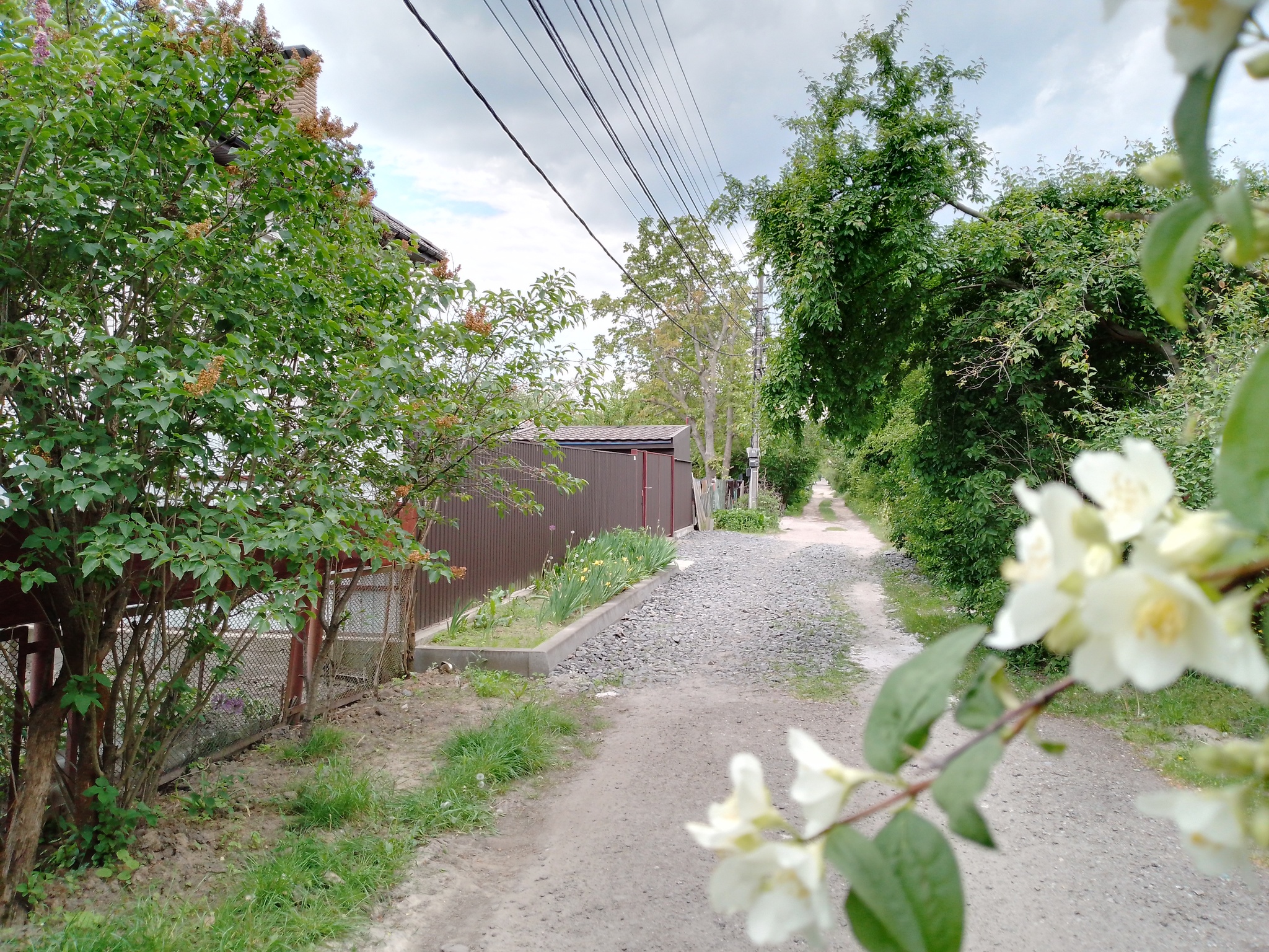 Продаж ділянки під індивідуальне житлове будівництво 6 соток, Стеценка вул.
