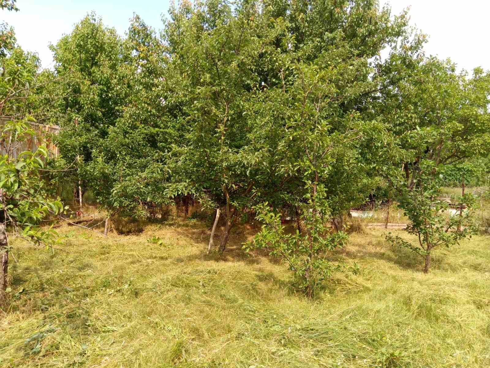 Продажа дачного участка 6 соток