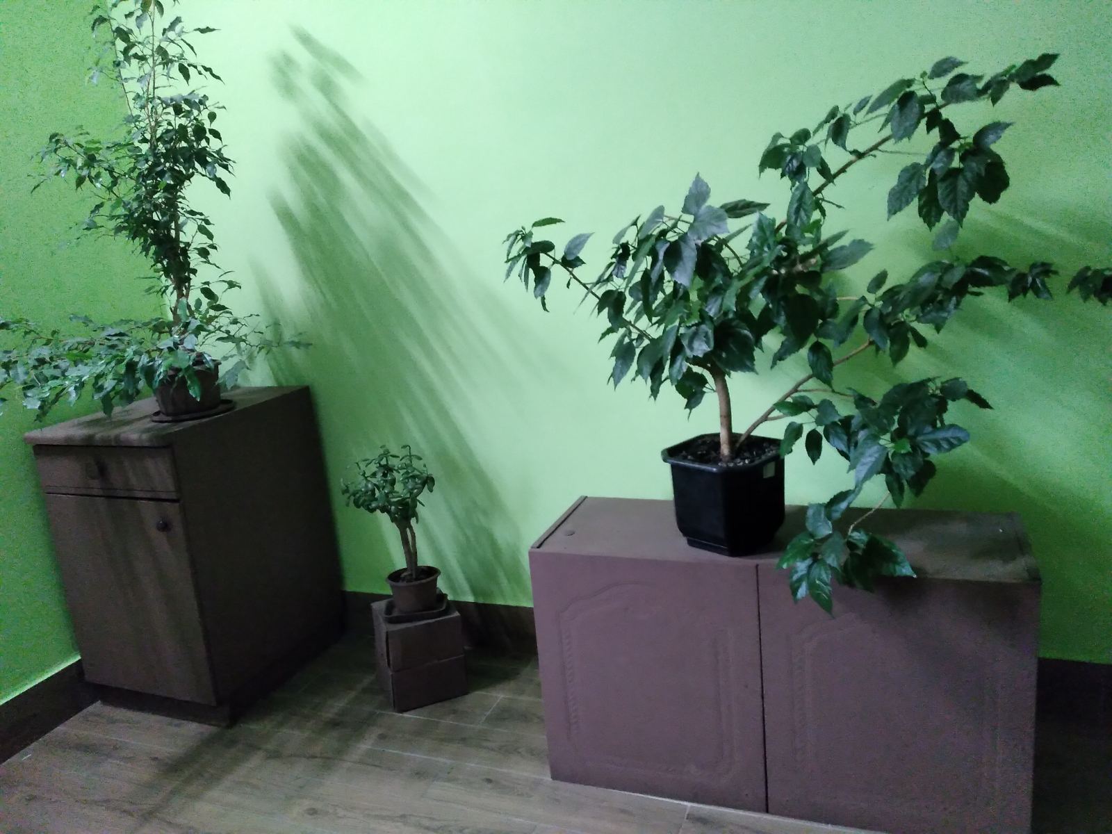 Оренда 1-кімнатної квартири 35 м², Райдужна вул., 35