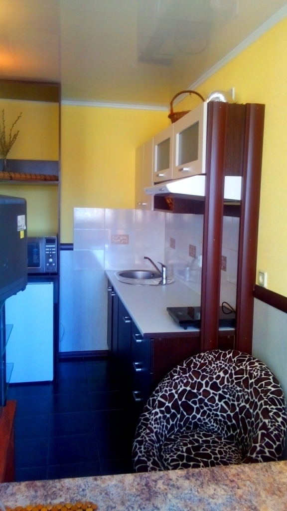 Аренда 1-комнатной квартиры 32 м², Мичурина ул., 2