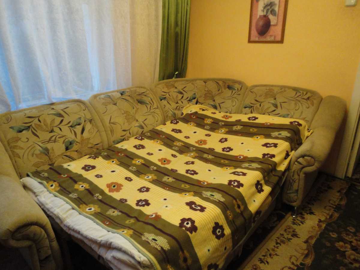Продаж 1-кімнатної квартири 26 м², Сєчєнова вул., 5