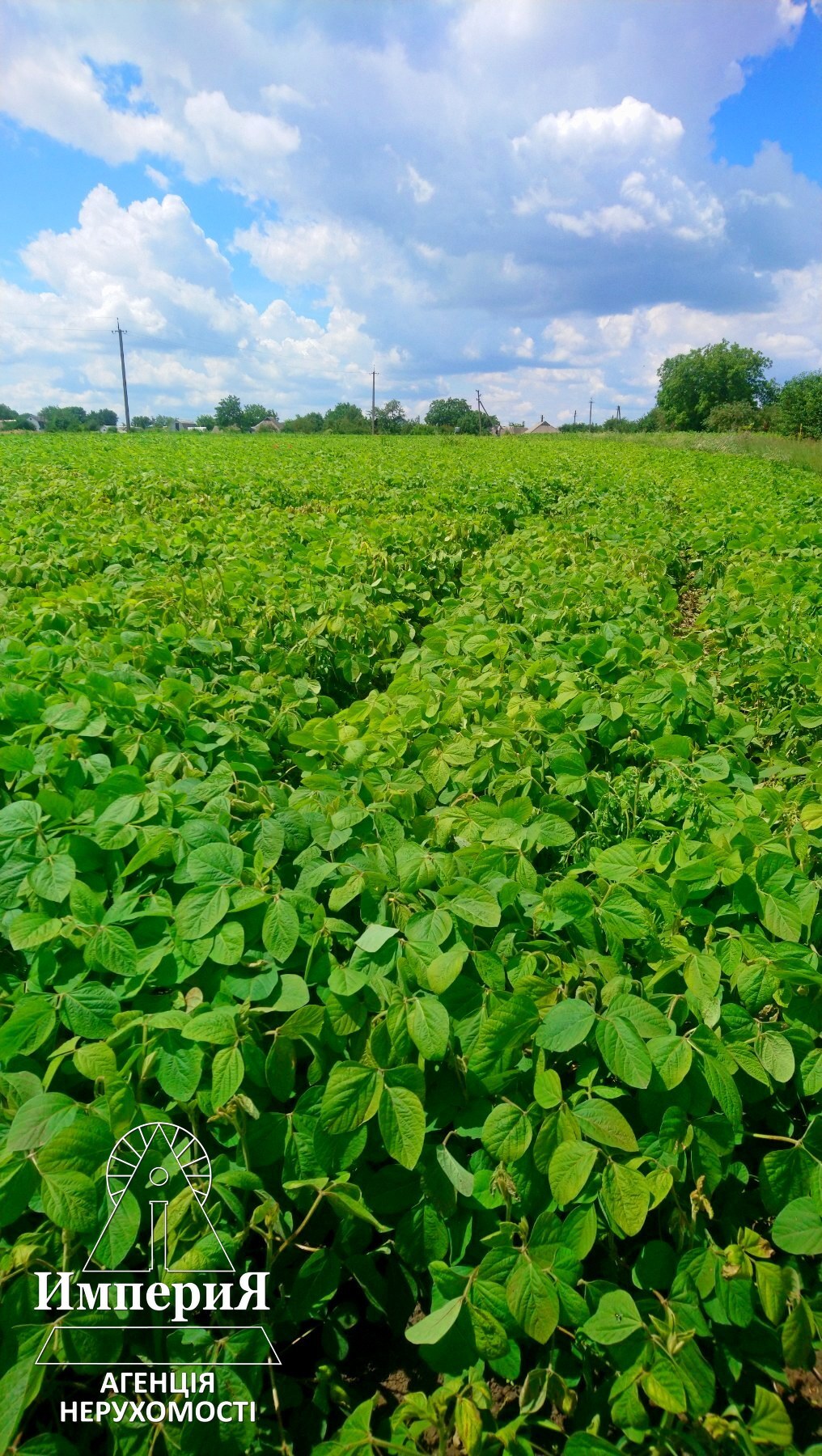 Продаж ділянки під індивідуальне житлове будівництво 66 соток