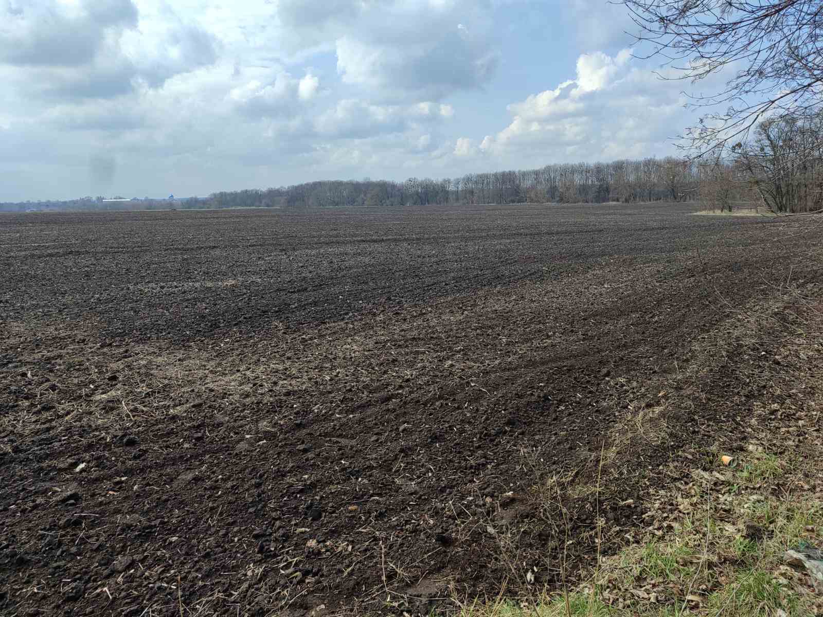 Продаж ділянки під рослинництво 1 соток