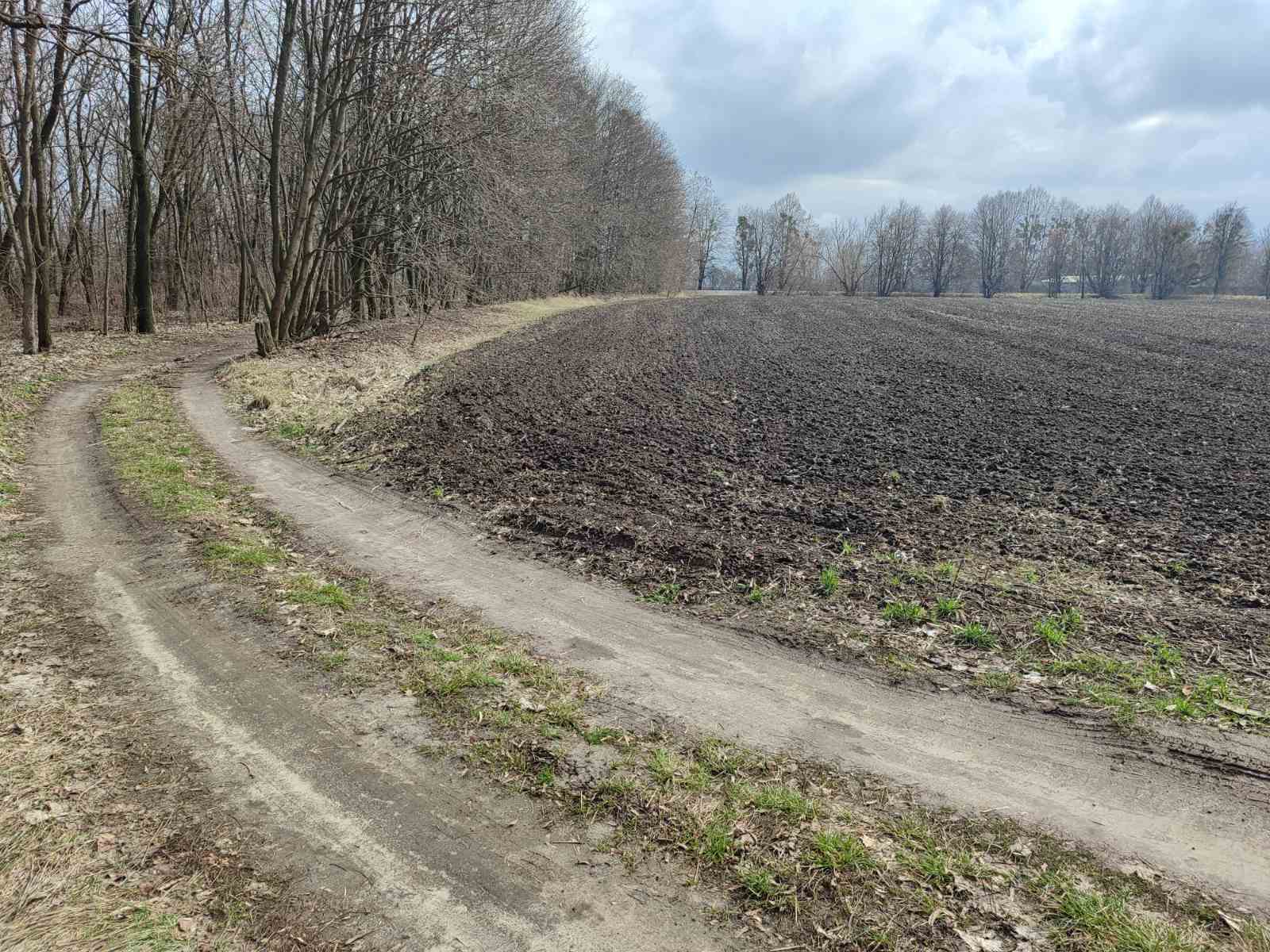 Продаж ділянки під рослинництво 1 соток