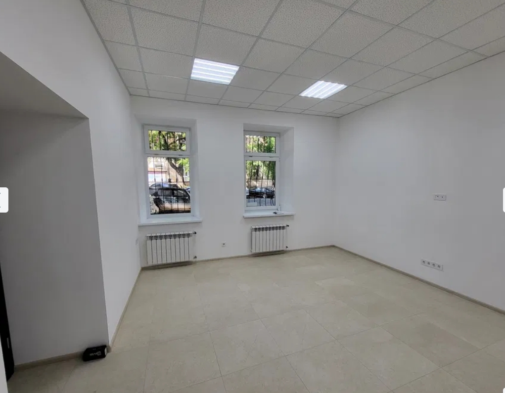 Оренда приміщення вільного призначення 102 м², Польська вул.